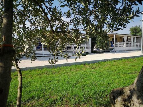 Apartamento Olive Tree Mobile Homes