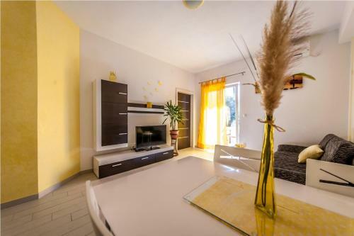 Apartmani Vice