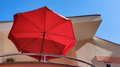 Pine Wood Apartment