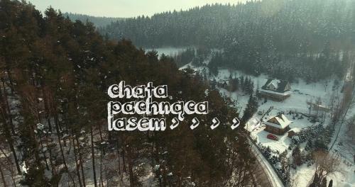 Lodge Chata Pachn?ca Lasem