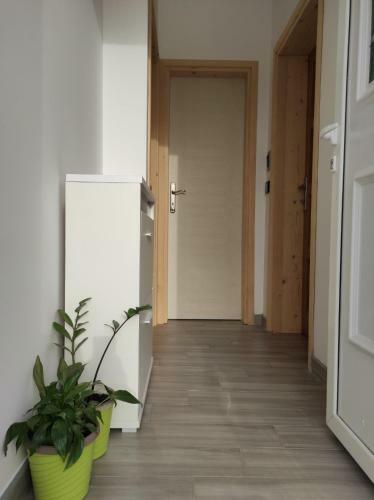 Boka Grey Apartment
