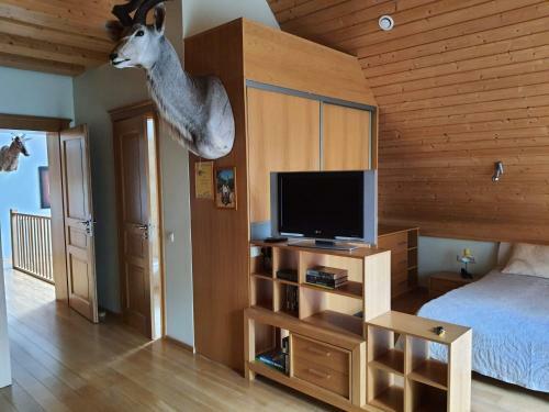 Apartamentai Hunter House