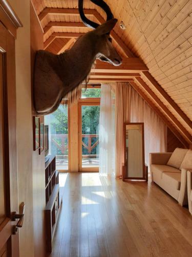 Apartamentai Hunter House