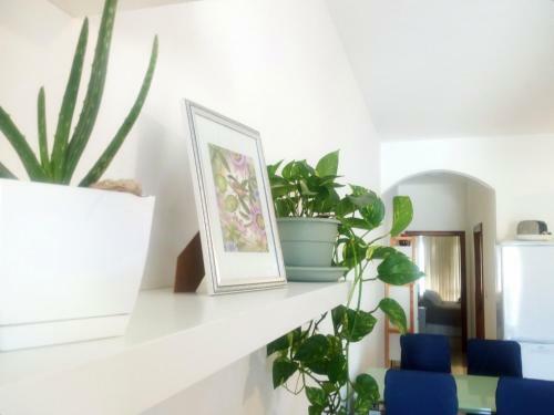 Apartamento Flat Cloud 9