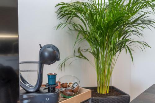 Apartamentos Pleasure Bol