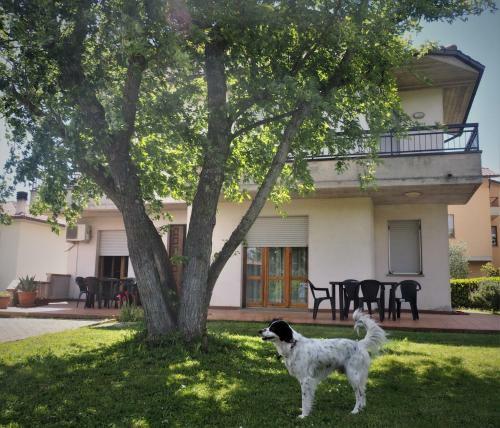 Casa Del Carmine