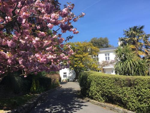 Bed & Breakfast Haldon Priors