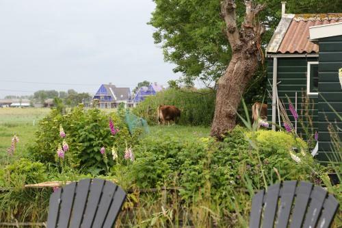 Bed And Stay Amsterdam