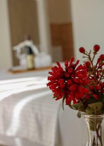 Hostal Villa Antonio