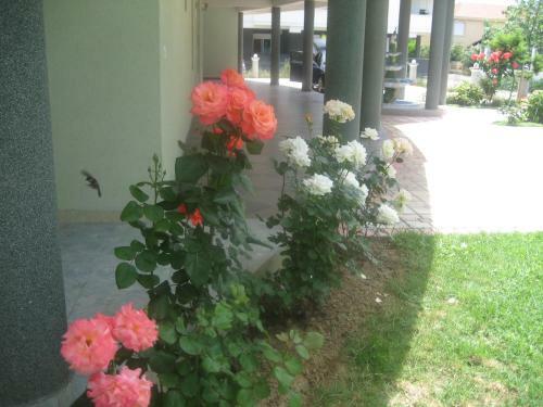 Hostal Guest House Vila Mimoza