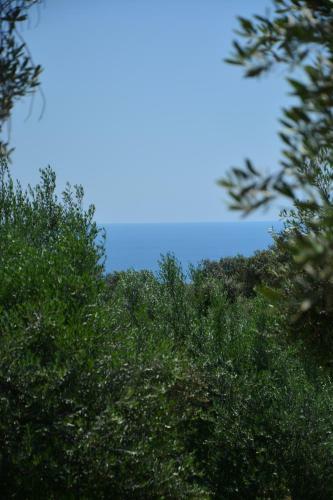 Apartamento Olea Cottage