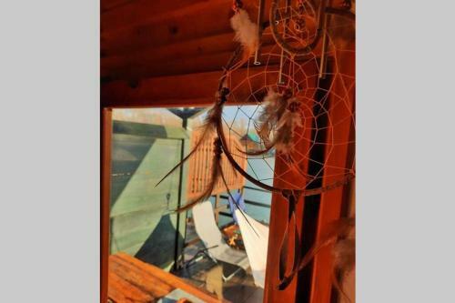 Ada Bojana-jack Sparow's Cottage