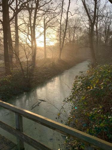 Luxe All Season Chalet de Goudenregen