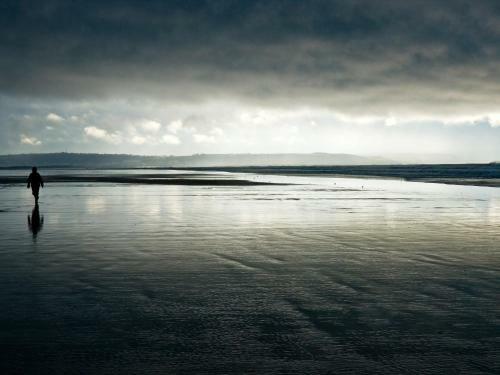 Shorewaters
