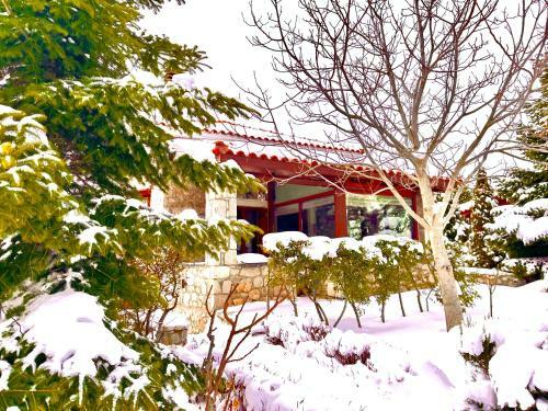 Cozy Mini Villa