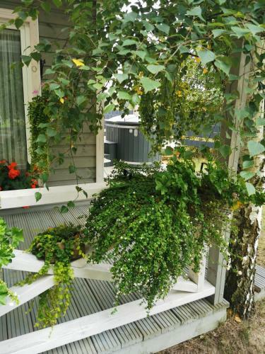 Holiday Home Kolka