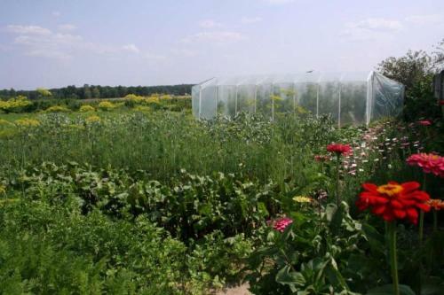 Agroturystyka Pod Modrzewiem
