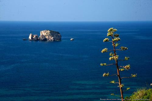 Alkithea, Cozy Apartment With Amazing Sea View