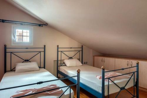 Spacious Homely Apartment