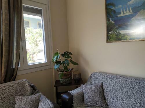 Napier Apartment