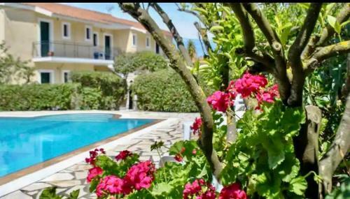 Lemon Tree Apartments A D