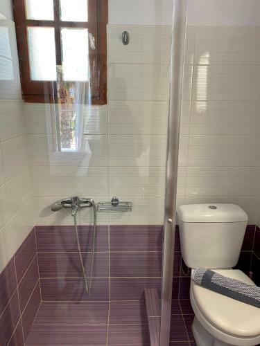 Lemon Tree Apartments A D