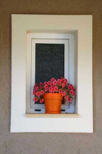 Apartamento Nikoleta's Studios