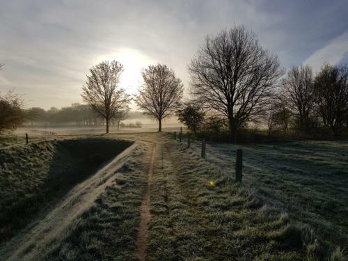 Basic Natuurhuisje Bij Beerze