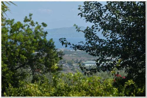 Cozy Guest House With Great View In Ancient Corinth