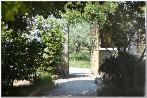 Cozy Guest House With Great View In Ancient Corinth
