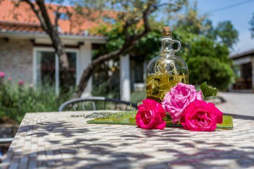 Hotel Molnar Resort Villa Mimoza & Apartment Nea