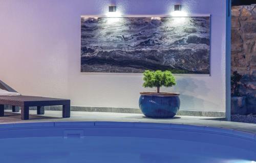Hotel Molnar Resort Villa Mimoza & Apartment Nea