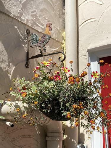 Hostal Holly Cottages