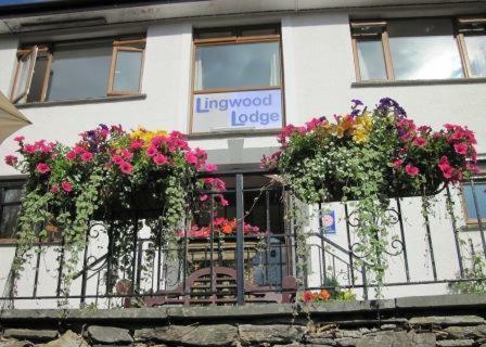Hostal Lingwood Lodge