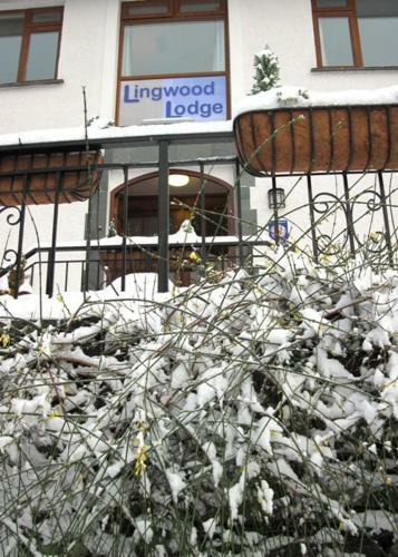 Hostal Lingwood Lodge