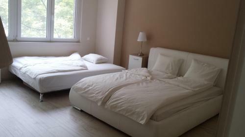 Brand New Apartment In The Center