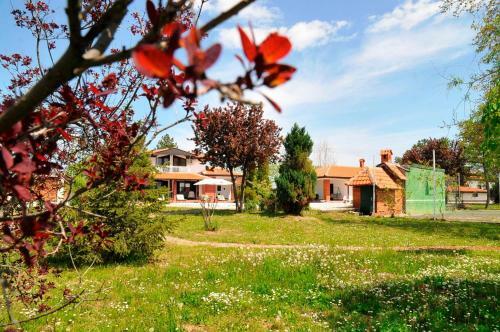 Villa Skupljen Resort: Enjoy The Freedom!