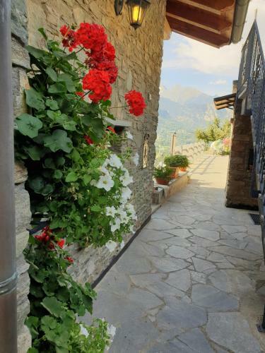 Bed & Breakfast Suite Del Villaggio