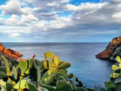 Apartamento Appartamento Marte