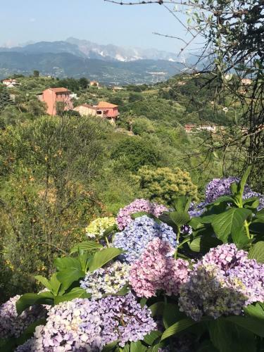 Apartamento Casa Lia