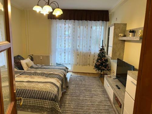 Anna Gy�ngye Apartman Debrecen