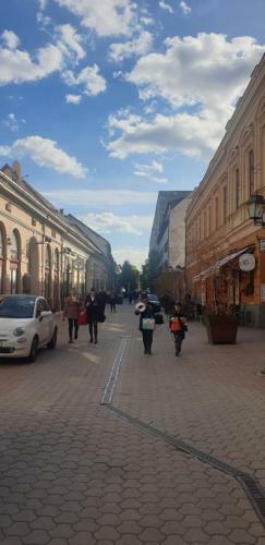 Anna Gy�ngye Apartman Debrecen