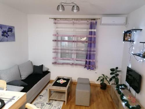 Apartman San