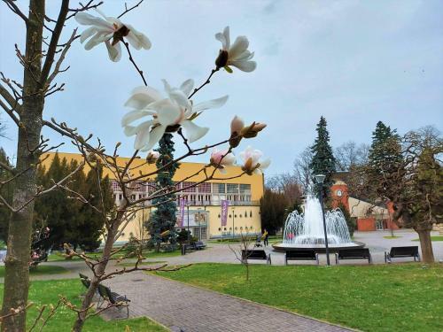 Apartman Modena Lux