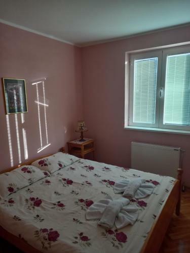 Apartmani Ivan?ica