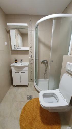 Apartman Slatina
