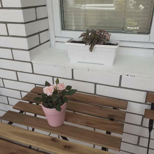 Apartman Lana, Jezero
