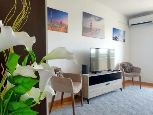 Apartment Alita