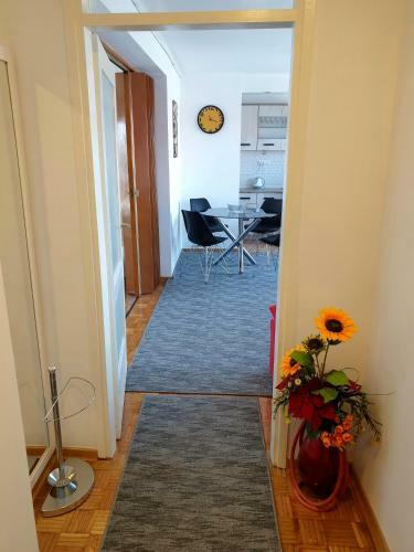 Apartment Alita