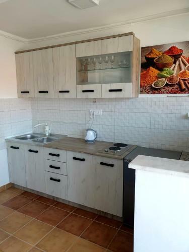 Apartment Alita